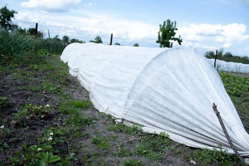 Tarpaulins