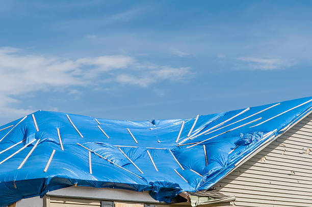 Tarpaulins