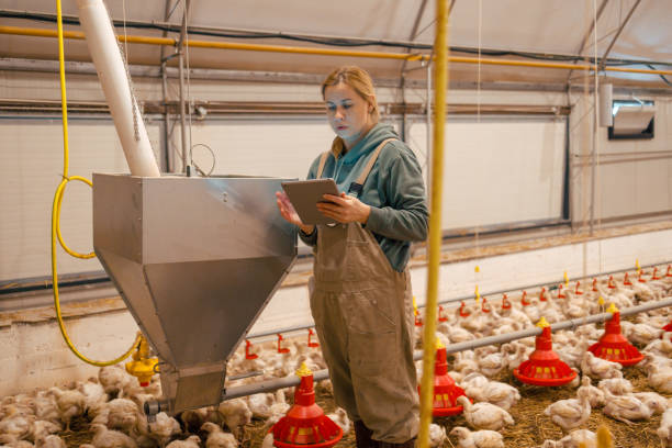 Livestock Monitoring System