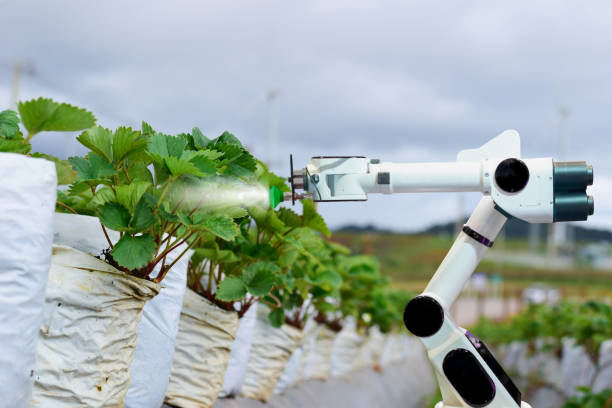 Sprayer