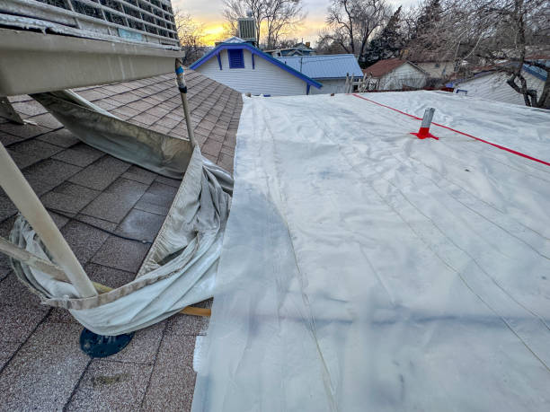 Tarps Repair